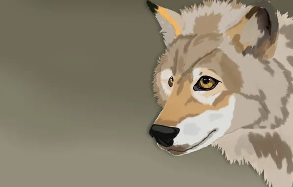 Картинка животное, рисунок, волк, иллюстрации