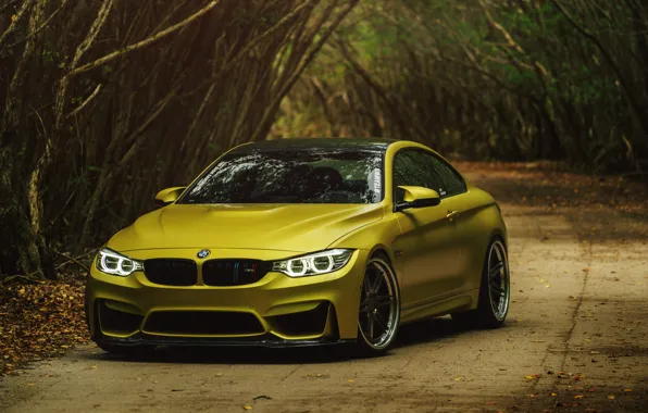Картинка BMW, BMW M4, Austin Yellow, BMW M4 Coupe Austin Yellow