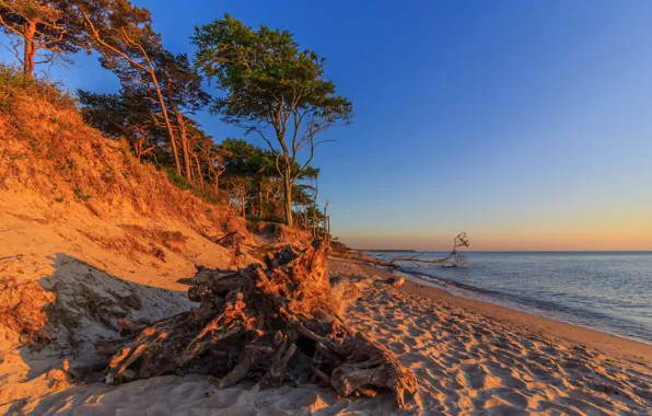 Картинка песок, море, деревья, рассвет, берег, Германия, Мекленбург-Передняя Померания