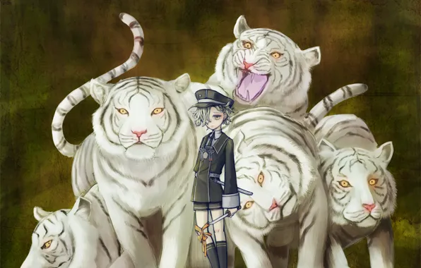 Картинка мальчик, белые тигры, Touken Ranbu, Gokotai