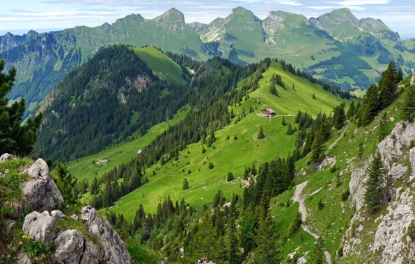 Картинка лес, лето, горы, домик, Switzerland, швейцария, Gastlosen