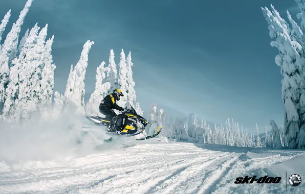 Картинка лес, снег, спорт, sport, snow, снегоход, snowmobile, ski-doo, brp, skidoo, adrenaline, renegade