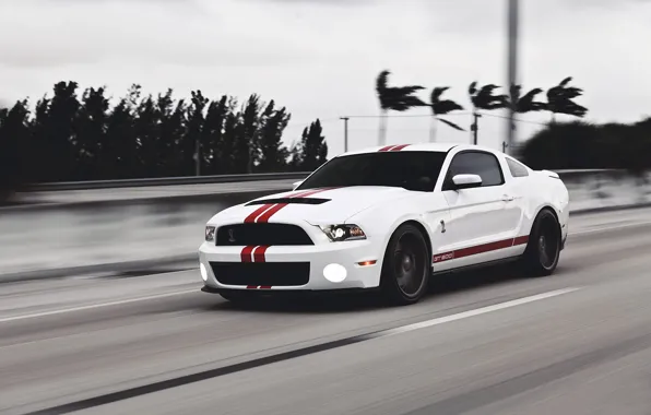 Картинка дорога, белый, скорость, Mustang, Ford, Shelby, мустанг, мускул кар, форд, muscle car, gt500, красные полосы