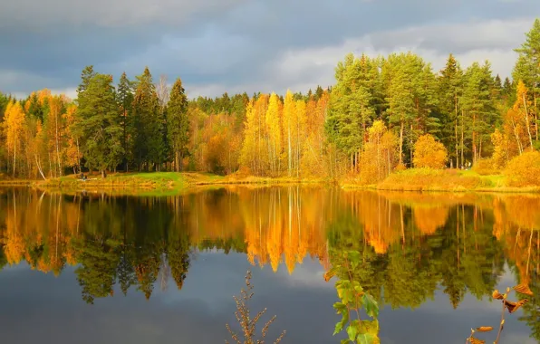 Картинка осень, лес, небо, отражение, река