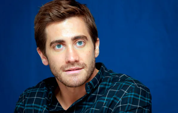 Картинка портрет, рубашка, Jake Gyllenhaal, Love and Other Drugs