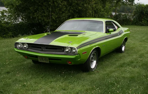 Картинка 1971, Dodge, Challenger, Green