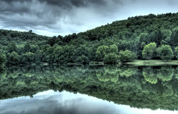 Картинка лес, вода, отражение