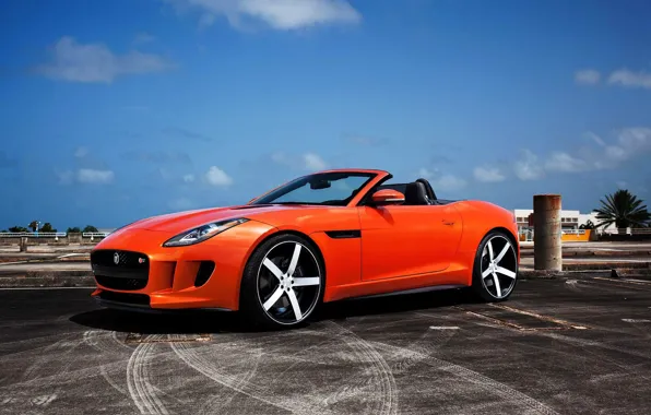 Картинка Jaguar, Orange, F TypeR
