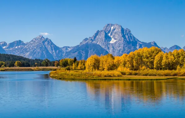 Картинка осень, лес, небо, деревья, горы, озеро, река, Вайоминг, США, grand teton national park