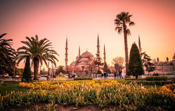 Картинка цветы, пальмы, газон, тюльпаны, башни, храм, Стамбул, Турция, дворец, клумбы, Голубая мечеть, Blue Mosque, Sultan …