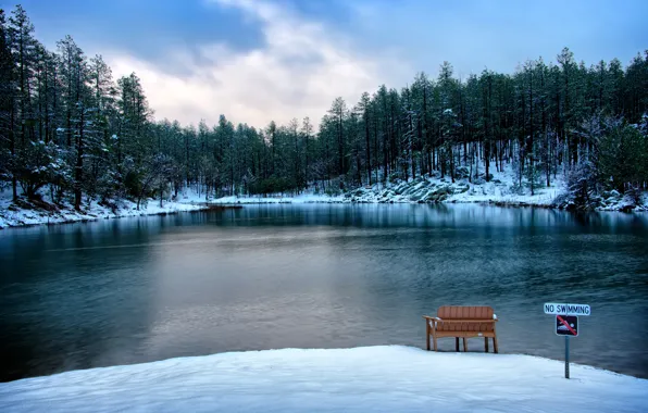 Картинка Зима, Озеро, Снег, Скамейка, Лес, США, Arizona, Prescott, Goldwater Lake
