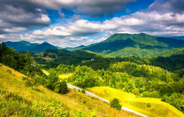 Картинка лес, облака, пейзаж, горы, природа, фото, США, Appalachian