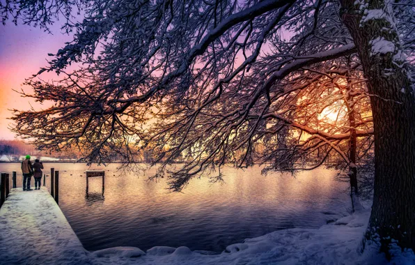 Картинка солнце, снег, дерево, обработка, Швейцария, Katzensee