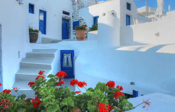 Картинка цветы, дом, Санторини, Греция, дверь, ступени