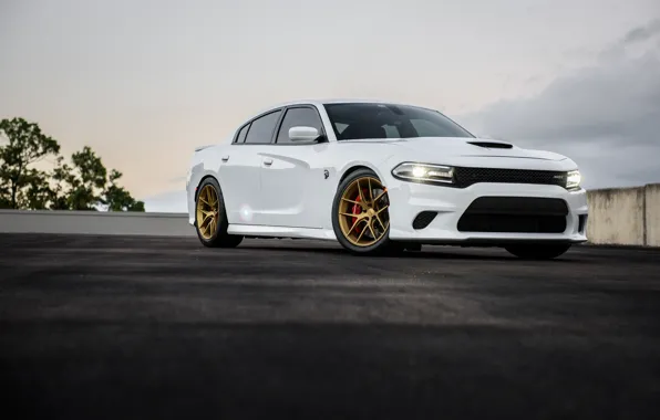 Картинка Dodge, One, Charger, Forged, Hellcat, Piece, Forgeline, Monoblock, on