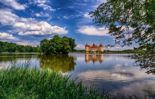 Картинка небо, деревья, озеро, замок, башня, Германия, Саксония, Морицбург