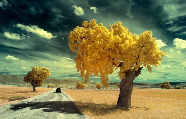 Картинка Испания, sky, yellow, tree, Canon, Spain, infrared, journey, España, trip, Cuenca, infrarrojo, Castilla la mancha, …