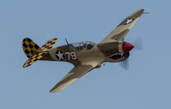 Картинка полет, истребитель, P-40, Warhawk