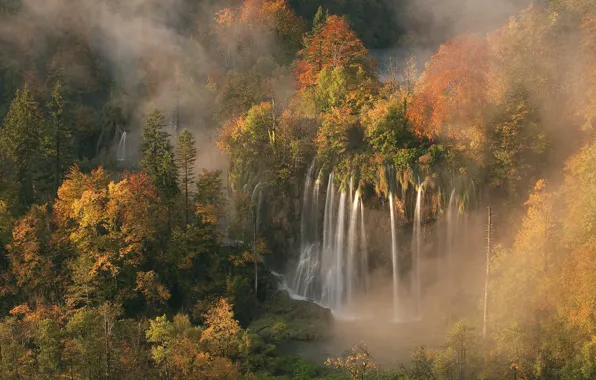 Картинка лес, Хорватия, утренний туман, осенние цвета, свет зари, 5 октября 2008 года, Водопад Veliki prštavac