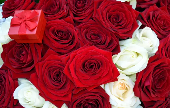 Картинка цветы, розы, букет, красная, коробочка, предложение