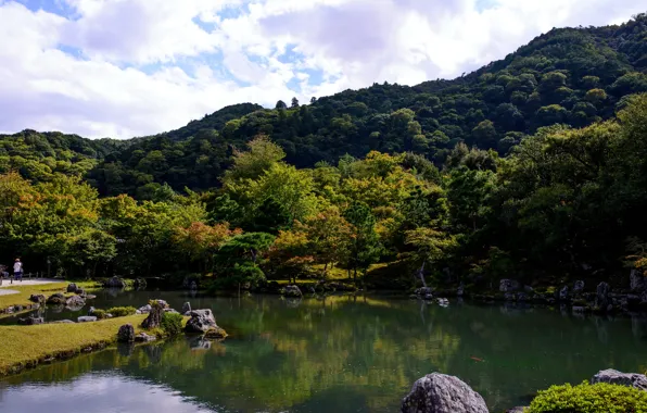 Картинка деревья, пруд, парк, камни, Япония