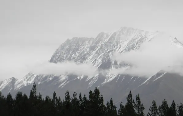 Картинка горы, туман, Зима