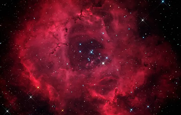 Картинка звезды, туманность, Розетка, NGC 2244, NGC 2237