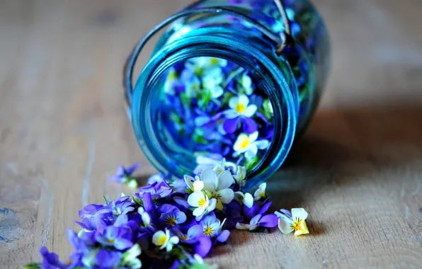 Картинка цветы, голубые, синие, рассыпанные цветы