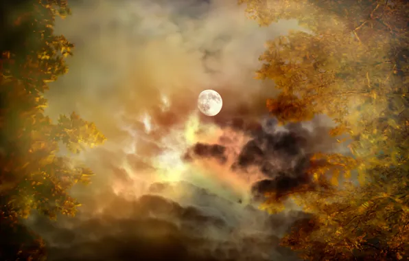 Картинка осень, небо, облака, деревья, Луна