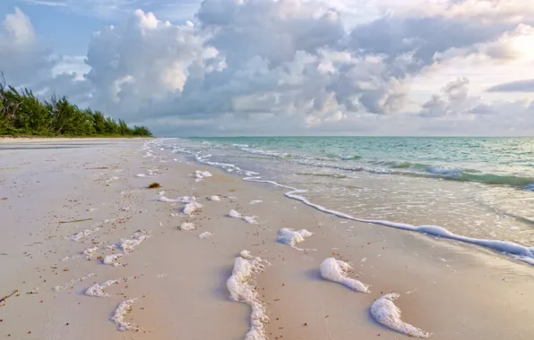 Картинка песок, море, зелень, пена, облака, природа, побережье, прибой