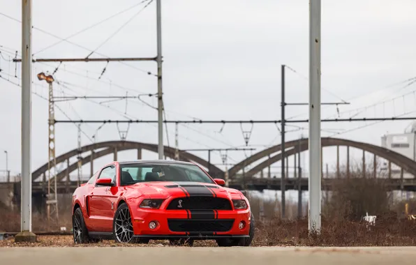 Картинка Mustang, Ford, Shelby, GT500, 2012, Race Red