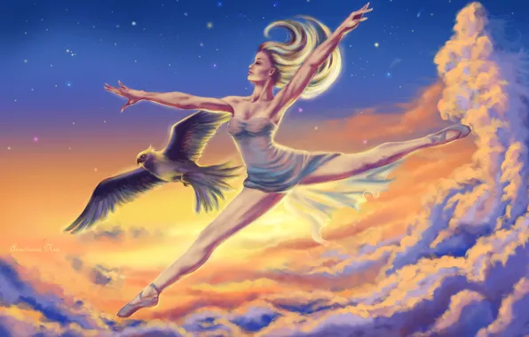 Картинка небо, девушка, облака, птица, волосы, арт, профиль, балерина