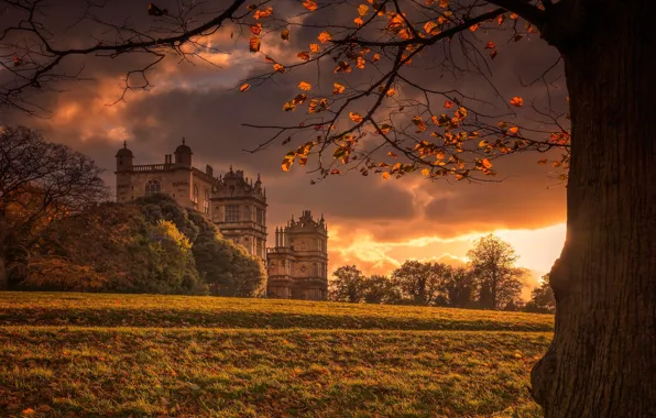 Картинка осень, свет, замок, дерево, Англия, дворец