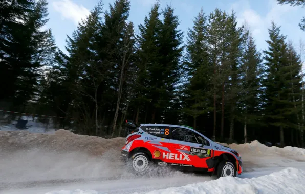 Картинка Hyundai, Sweden, WRC, Rally, i20, Paddon