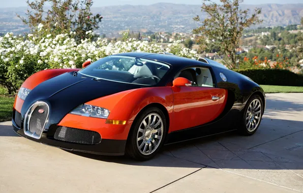 Картинка Bugatti, Veyron, Red, Black, Valley, Profile