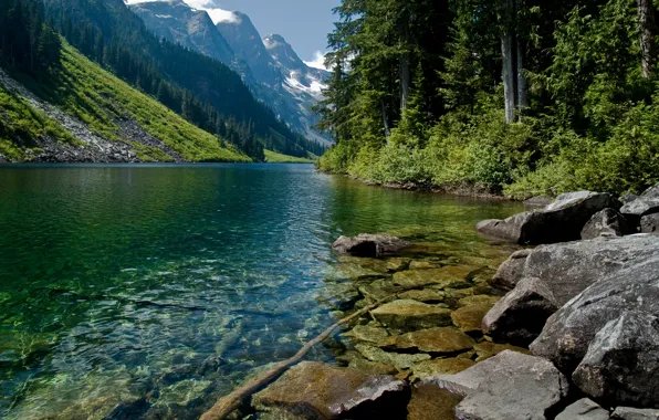 Картинка вода, деревья, горы, природа, горная река
