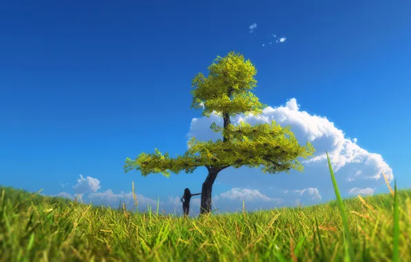 Картинка небо, трава, девушка, облака, дерево