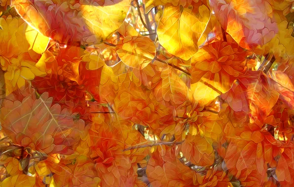 Картинка осень, листья, линии, природа, краски