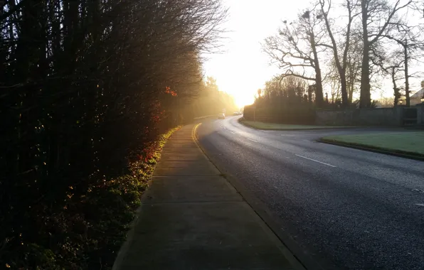 Картинка дорога, солнце, природа, утро, февраль, ирландия, клони, морозное утро