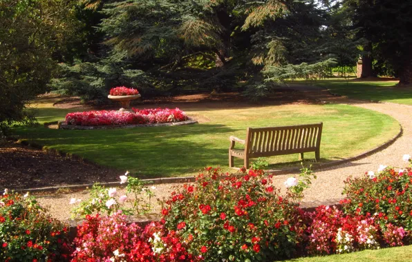 Картинка скамейка, природа, фото, Англия, сад, Barnet, Beale Arboretum