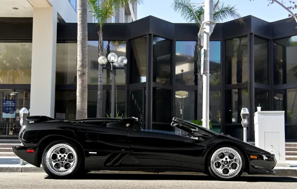 Картинка пальма, черный, Lamborghini, кабриолет, black, diablo, roadster, ламборгини, диабло, palm