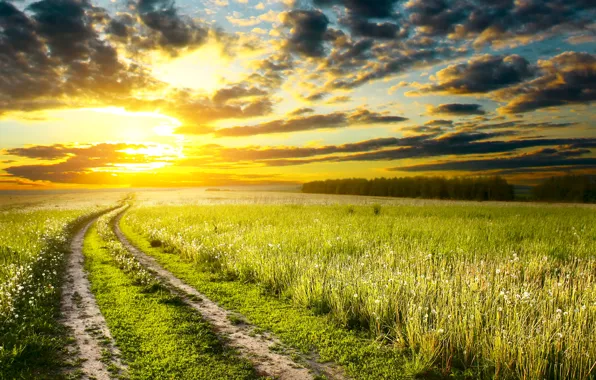 Картинка дорога, поле, небо, трава, солнце, облака, колея