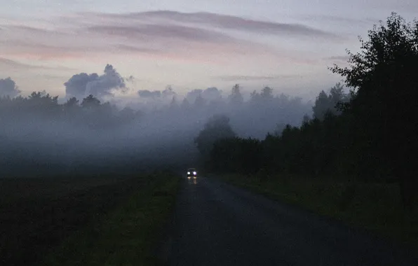 Картинка car, misty, road, morning, fog, sunrise, dawn, foggy, mist, woodland