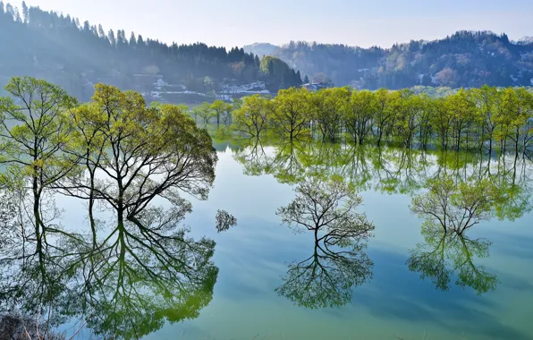Картинка деревья, озеро, отражение, Япония, Japan, Yamagata, Ямагата, Iide, Lake Shirakawa, Ииде, озеро Сиракава