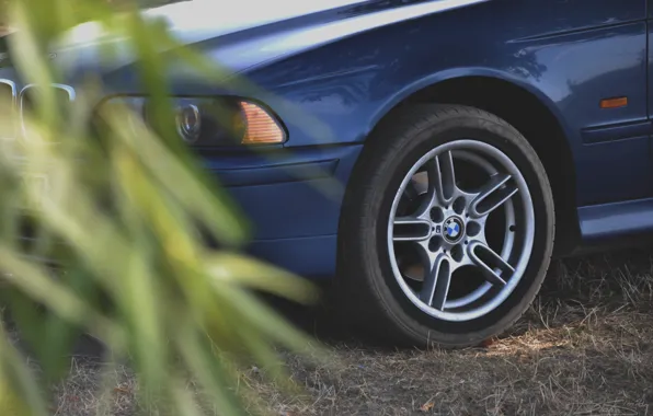 Картинка авто, BMW, e39