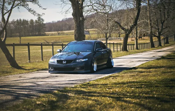 Картинка Honda, accord, stance, Acura TSX
