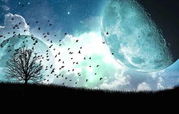 Картинка облака, птицы, дерево, луна, спутник