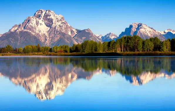 Картинка снег, деревья, горы, озеро, гладь, отражение