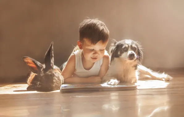 Картинка собака, мальчик, кролик, друзья, книжка, чтение