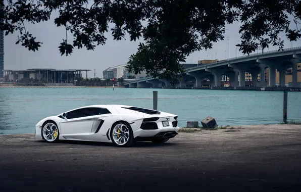 Картинка Lamborghini, White, Aventador, Vellano MC Customs
